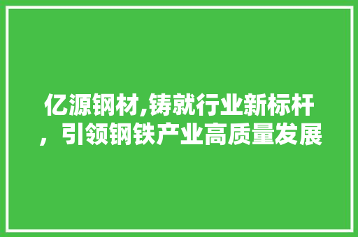 亿源钢材,铸就行业新标杆，引领钢铁产业高质量发展