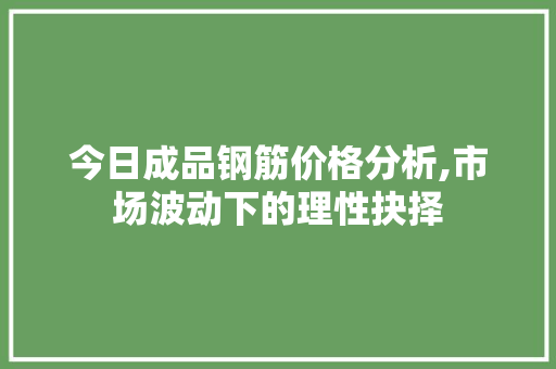 今日成品钢筋价格分析,市场波动下的理性抉择