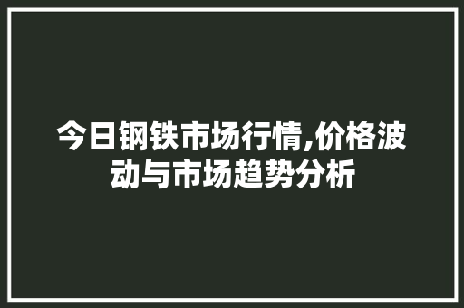 今日钢铁市场行情,价格波动与市场趋势分析