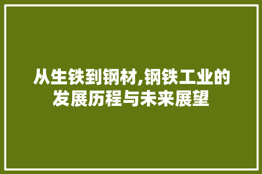 从生铁到钢材,钢铁工业的发展历程与未来展望