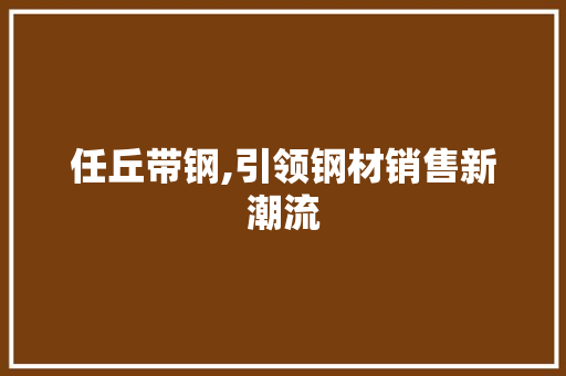 任丘带钢,引领钢材销售新潮流