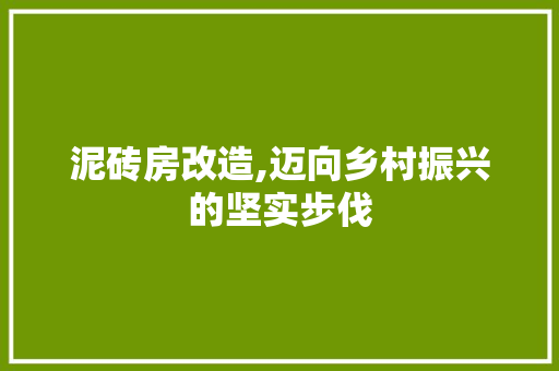 泥砖房改造,迈向乡村振兴的坚实步伐