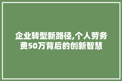 企业转型新路径,个人劳务费50万背后的创新智慧
