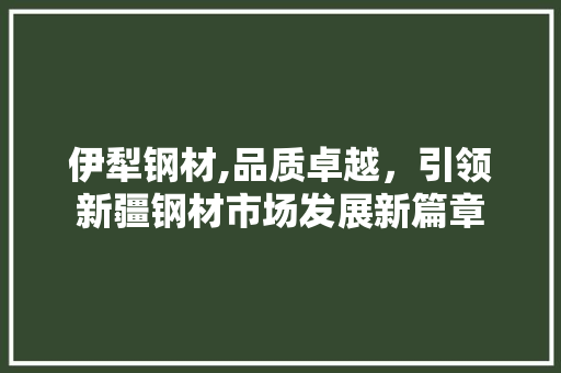 伊犁钢材,品质卓越，引领新疆钢材市场发展新篇章