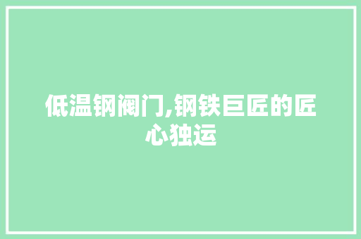 低温钢阀门,钢铁巨匠的匠心独运