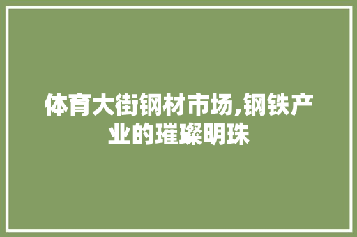 体育大街钢材市场,钢铁产业的璀璨明珠