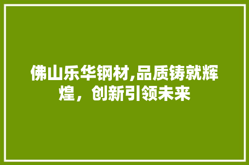 佛山乐华钢材,品质铸就辉煌，创新引领未来