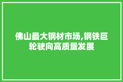 佛山最大钢材市场,钢铁巨轮驶向高质量发展