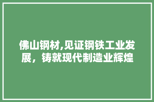 佛山钢材,见证钢铁工业发展，铸就现代制造业辉煌