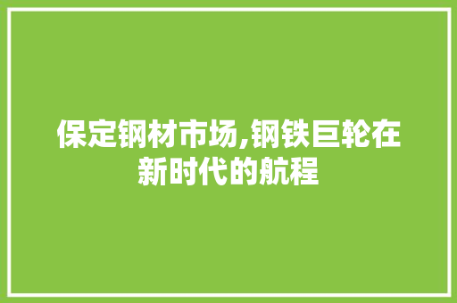 保定钢材市场,钢铁巨轮在新时代的航程