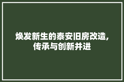 焕发新生的泰安旧房改造,传承与创新并进
