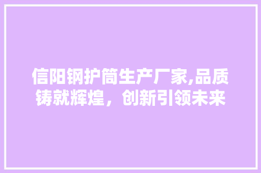 信阳钢护筒生产厂家,品质铸就辉煌，创新引领未来