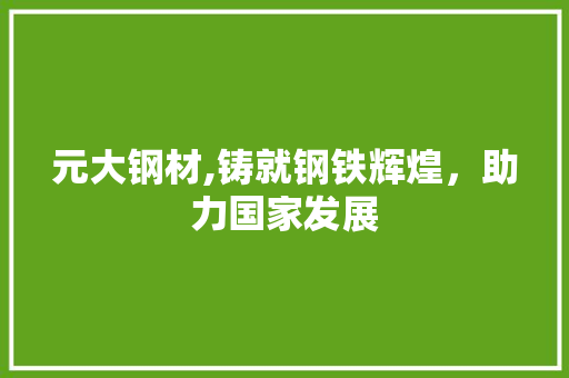 元大钢材,铸就钢铁辉煌，助力国家发展