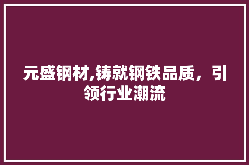 元盛钢材,铸就钢铁品质，引领行业潮流
