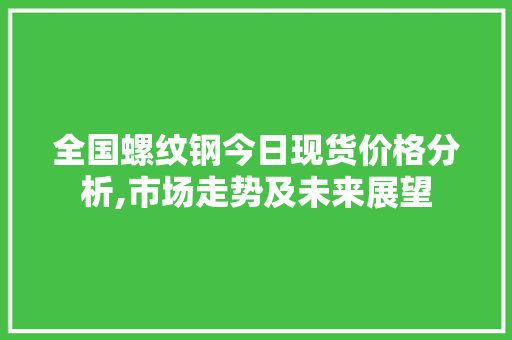 全国螺纹钢今日现货价格分析,市场走势及未来展望