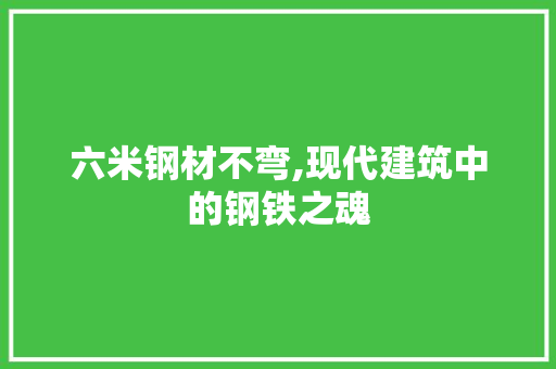 六米钢材不弯,现代建筑中的钢铁之魂