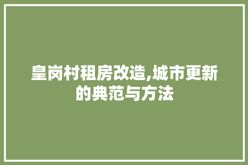 皇岗村租房改造,城市更新的典范与方法