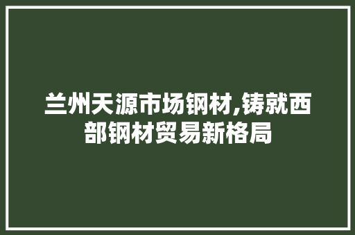 兰州天源市场钢材,铸就西部钢材贸易新格局