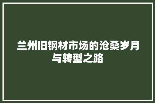 兰州旧钢材市场的沧桑岁月与转型之路