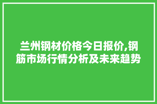 兰州钢材价格今日报价,钢筋市场行情分析及未来趋势展望