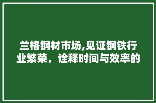 兰格钢材市场,见证钢铁行业繁荣，诠释时间与效率的完美融合