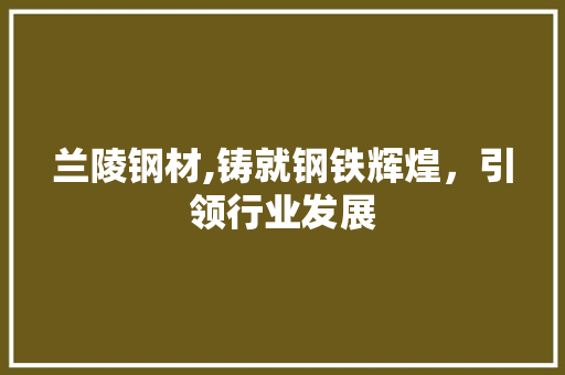 兰陵钢材,铸就钢铁辉煌，引领行业发展