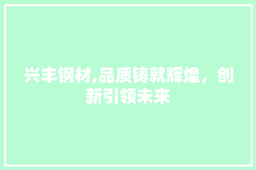 兴丰钢材,品质铸就辉煌，创新引领未来