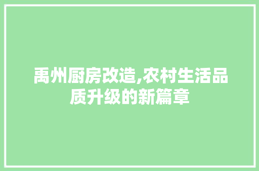 禹州厨房改造,农村生活品质升级的新篇章