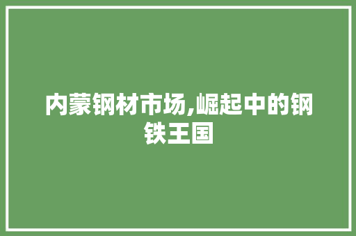 内蒙钢材市场,崛起中的钢铁王国