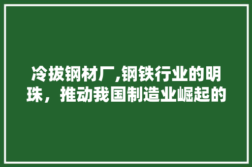 冷拔钢材厂,钢铁行业的明珠，推动我国制造业崛起的力量
