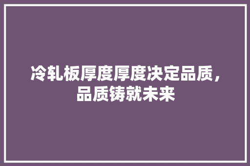 冷轧板厚度厚度决定品质，品质铸就未来