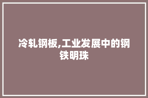 冷轧钢板,工业发展中的钢铁明珠