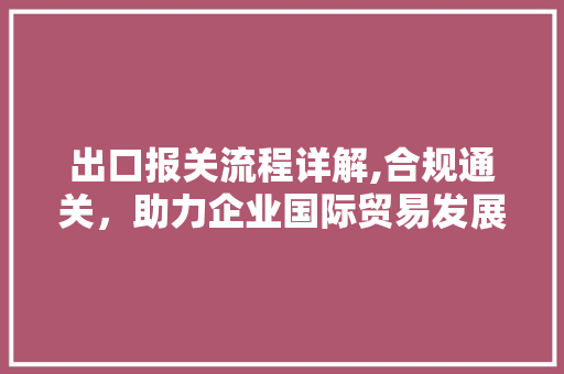 出口报关流程详解,合规通关，助力企业国际贸易发展