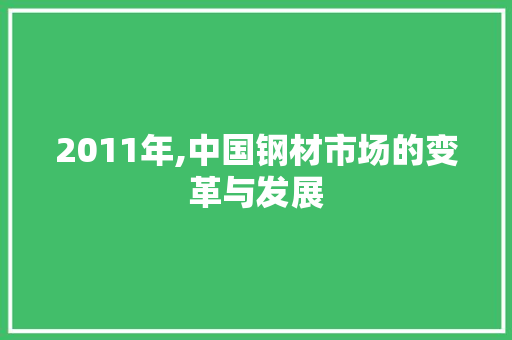 2011年,中国钢材市场的变革与发展