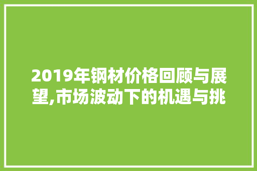 2019年钢材价格回顾与展望,市场波动下的机遇与挑战