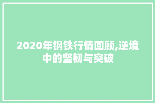 2020年钢铁行情回顾,逆境中的坚韧与突破