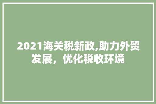 2021海关税新政,助力外贸发展，优化税收环境