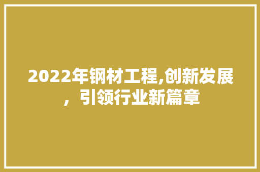 2022年钢材工程,创新发展，引领行业新篇章