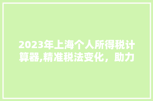 2023年上海个人所得税计算器,精准税法变化，助力纳税人合理避税