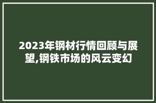 2023年钢材行情回顾与展望,钢铁市场的风云变幻