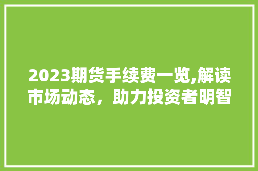 2023期货手续费一览,解读市场动态，助力投资者明智选择