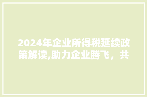 2024年企业所得税延续政策解读,助力企业腾飞，共筑经济繁荣