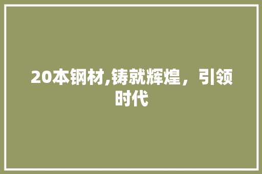 20本钢材,铸就辉煌，引领时代