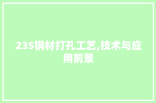 235钢材打孔工艺,技术与应用前景
