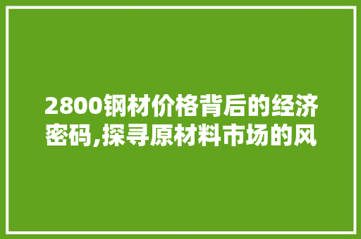 2800钢材价格背后的经济密码,探寻原材料市场的风云变幻