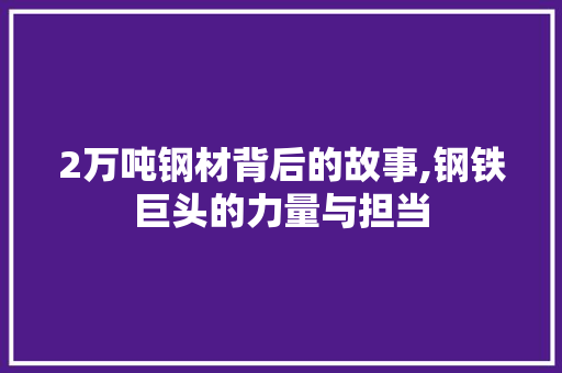 2万吨钢材背后的故事,钢铁巨头的力量与担当