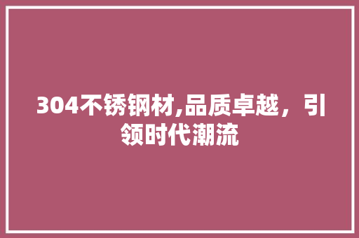 304不锈钢材,品质卓越，引领时代潮流