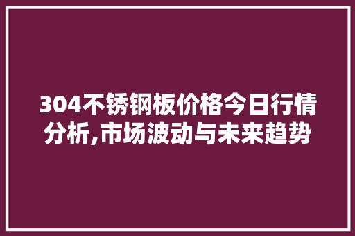 304不锈钢板价格今日行情分析,市场波动与未来趋势展望