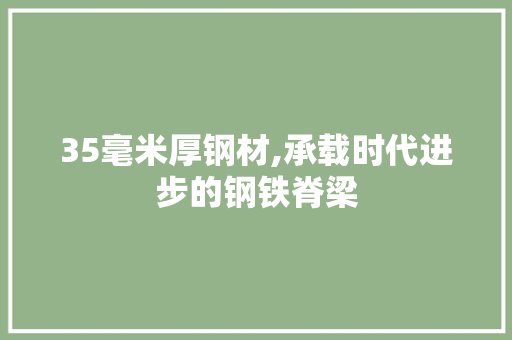 35毫米厚钢材,承载时代进步的钢铁脊梁