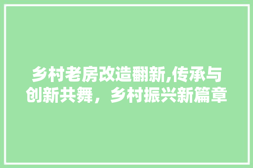 乡村老房改造翻新,传承与创新共舞，乡村振兴新篇章